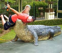Crocodile attack @ A Famosa Crocodile-0001