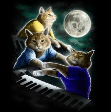 keyboard cat