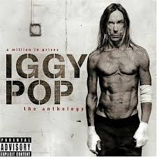 iggy pop