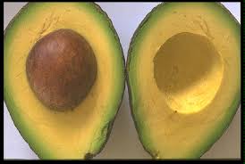avacado