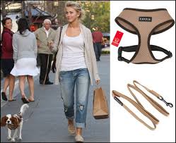 Julianne Hough up skirt