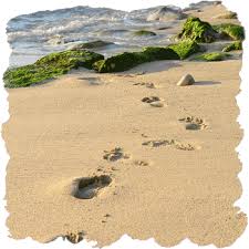 footprints in the sand images