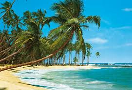 free beach wallpaper