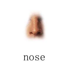 اعرف شخصيتك من شكل انفك Nose