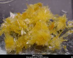 Photos of DMT crystals taken