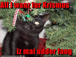 humorous christmas