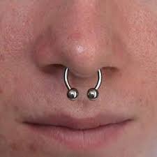 septum