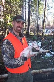 chasse au lievre