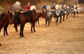 Horseback Archery کمانگیری بر روی اسب