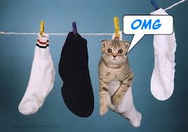 funny socks