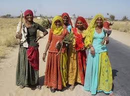 nagaur