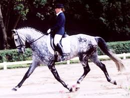 Dressage in the Pony Club!