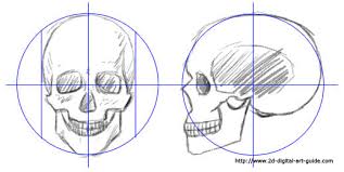 how to draw skulls