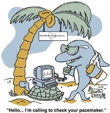 funny cartoon pics