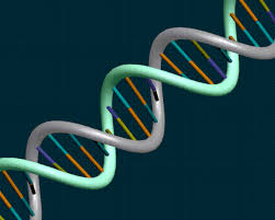 Ribbons dna Sample Image