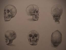 how to draw a skull