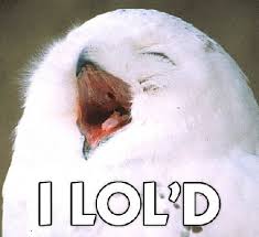 owllol1fg.jpg