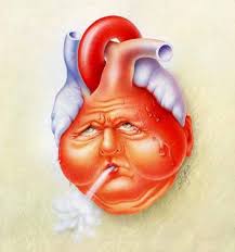 heart.jpg