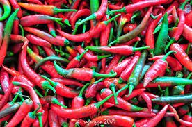 http://t1.gstatic.com/images?q=tbn:MvwlVbo0Oz-XoM:http://farm4.static.flickr.com/3092/3233711228_0035ae9b2a.jpg