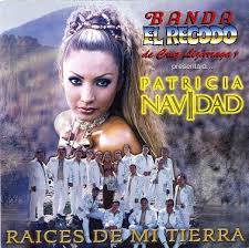 banda el recodo