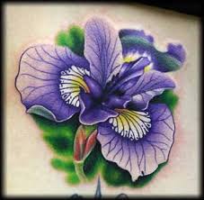 purple iris flower