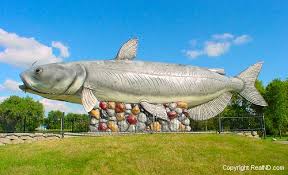 largest catfish pictures