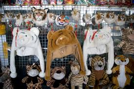 real tiger pictures