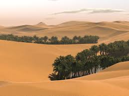 Nature Wallpaper - Desert