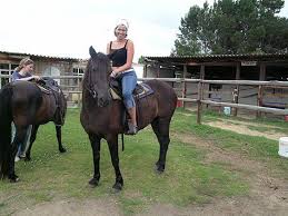 western horse riding