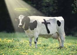funny christian pictures
