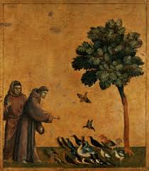 saint francis of assisi