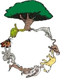 The Circle of Life