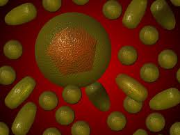 6 Virus Paling Mematikan di Dunia HepatitisB