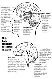 Asperger S Syndrome