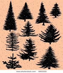 pine tree illustrations