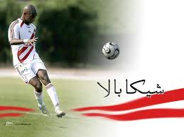 النمر الاسمر شيكابالا 13531564180312576863