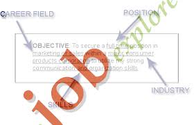 example resume objectives