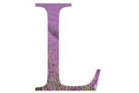 the letter l