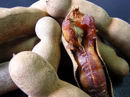 Tamarind May Be Good For