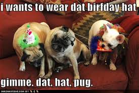funny happy birthday