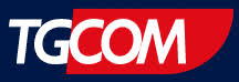 http://www.tgcom.mediaset.it/