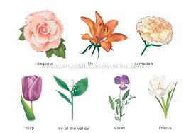 flower varieties