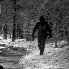 Top 10 Unexplained Phenomena
