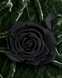 black flowers