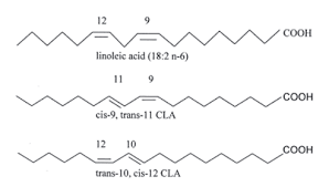 Structure of linoleic acid,