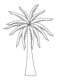 palm tree coloring sheets