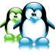 http://t1.gstatic.com/images?q=tbn:QuM15d5Kc6rb5M:http://icones.eee-pc.fr/icones/messenger-tux.png