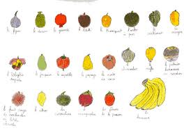 images fruits