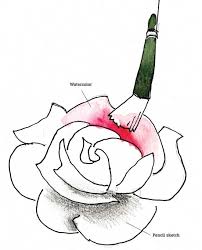 how to paint roses