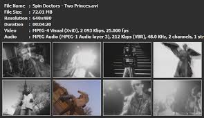 spin doctors two princes